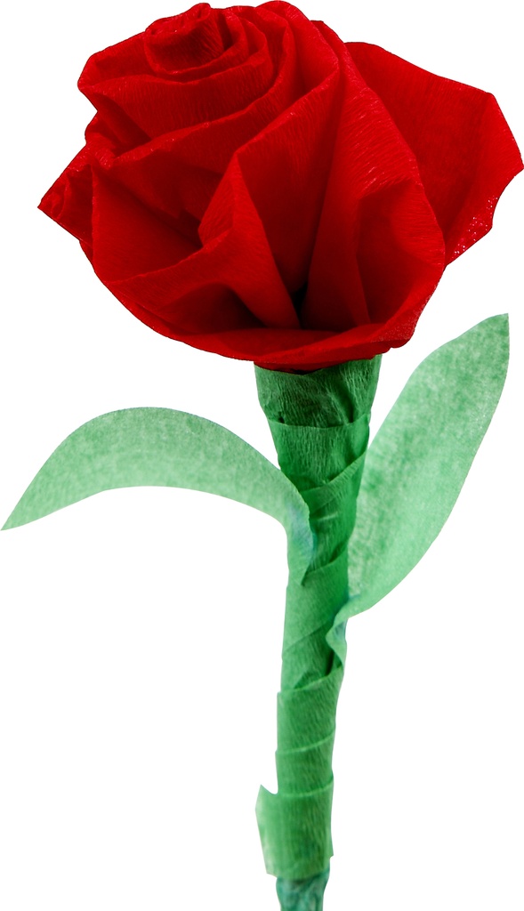 8300109a1.jpg