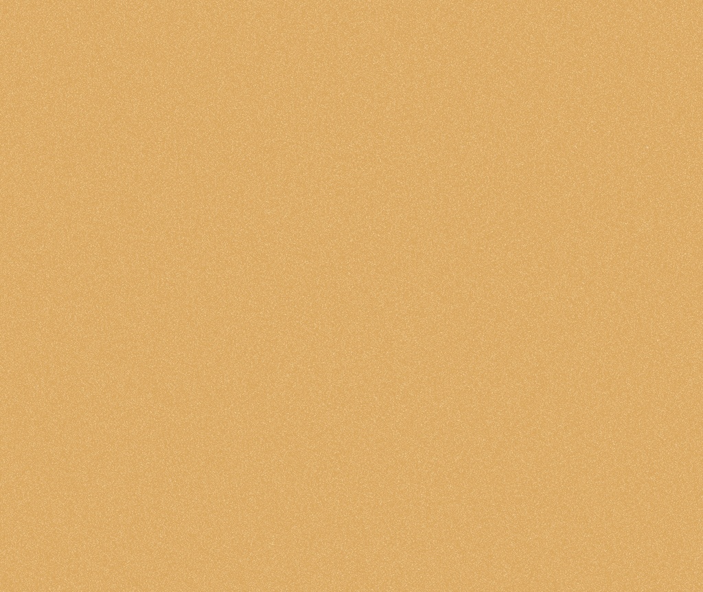 8100568a.jpg