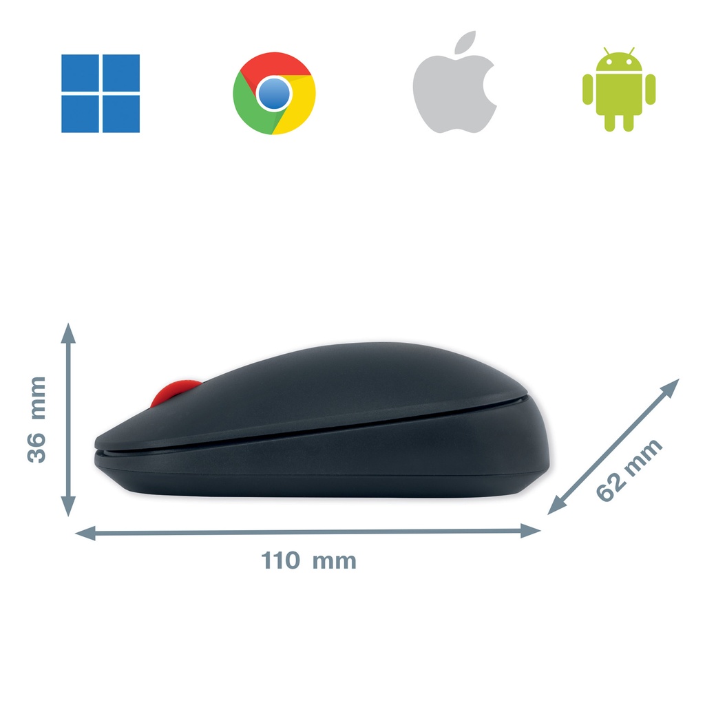 8566621a.jpg