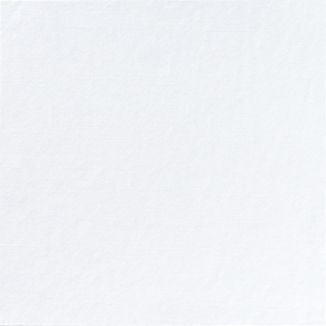 2502630.jpg