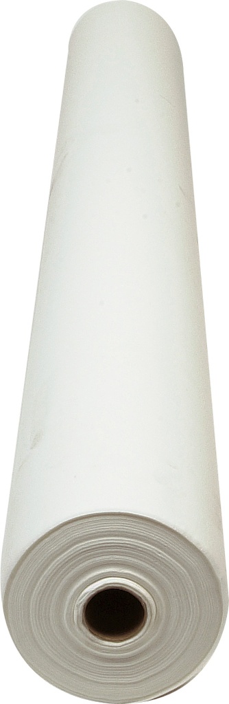 2504305a.jpg