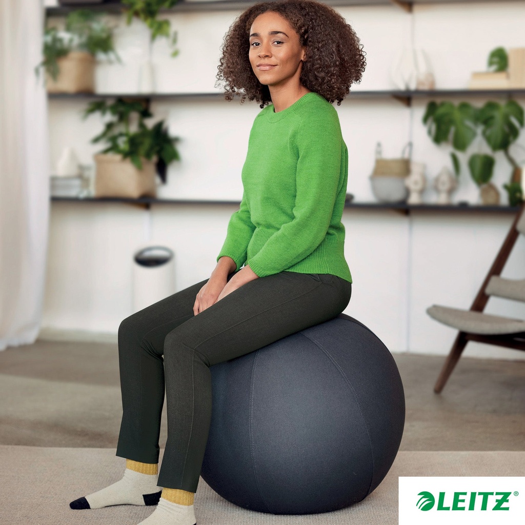 Sittboll Ergo med stopp 65cm