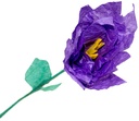 Silkespapper 50x70violet 25/fp