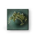 Ljudabsorbent moss 58*58*21cm