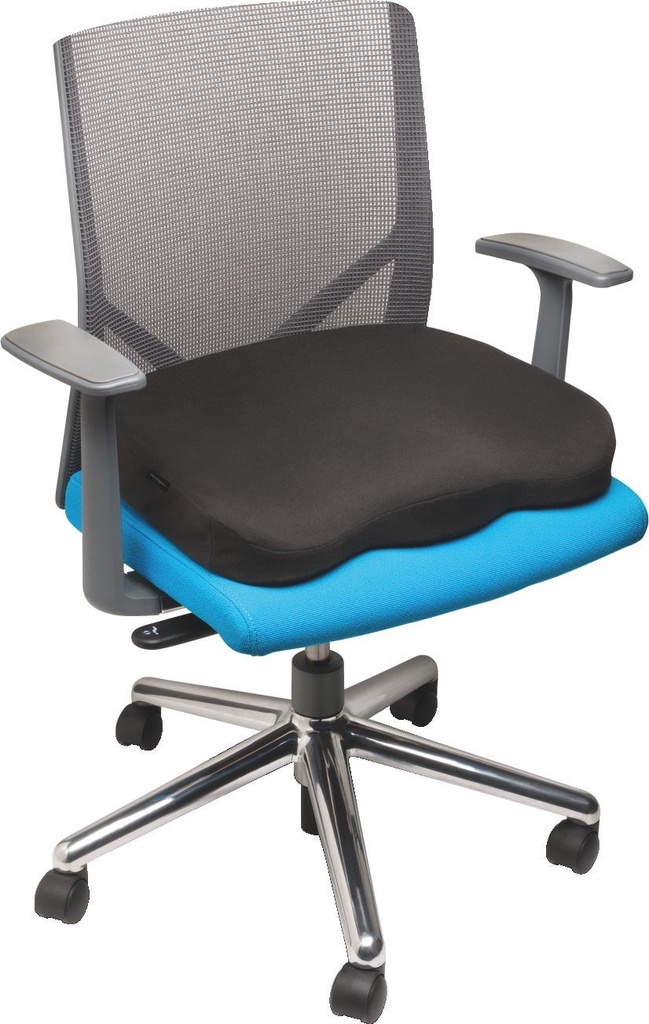Stolskudde Kensington Ergonom