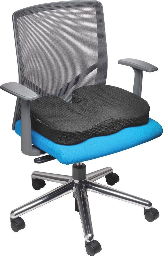 Stolkudde Kensington Premium m
