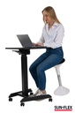 Bord Easydesk Pro 60x52 cm sv