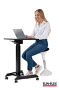 Bord Easydesk Pro 60x52 cm sv