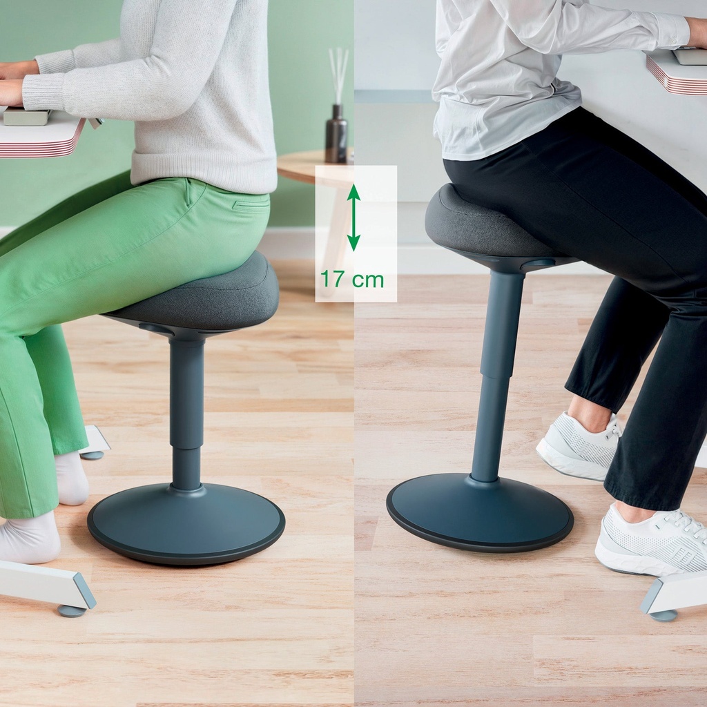 Ergo Sittpall mörkgrå