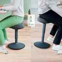 Ergo Sittpall mörkgrå