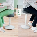 Ergo Sittpall ljusgrå