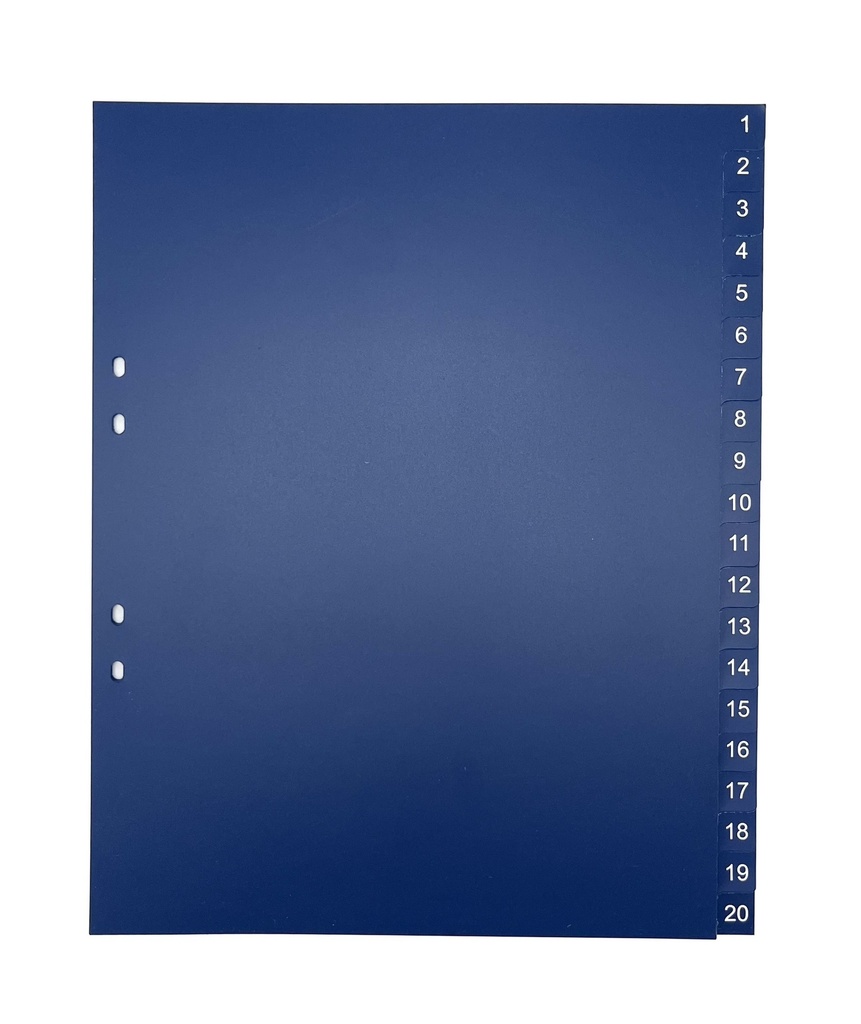 PÄRMREGISTER A4 SPECIAL BLÅ 1-20 10ST/FP