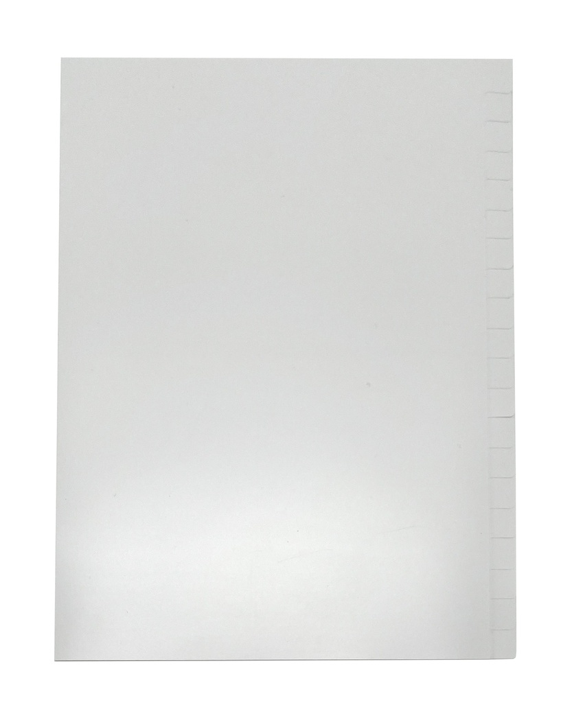 Pärmregister A4 20-fliks OTRYCKTA 15st/fp