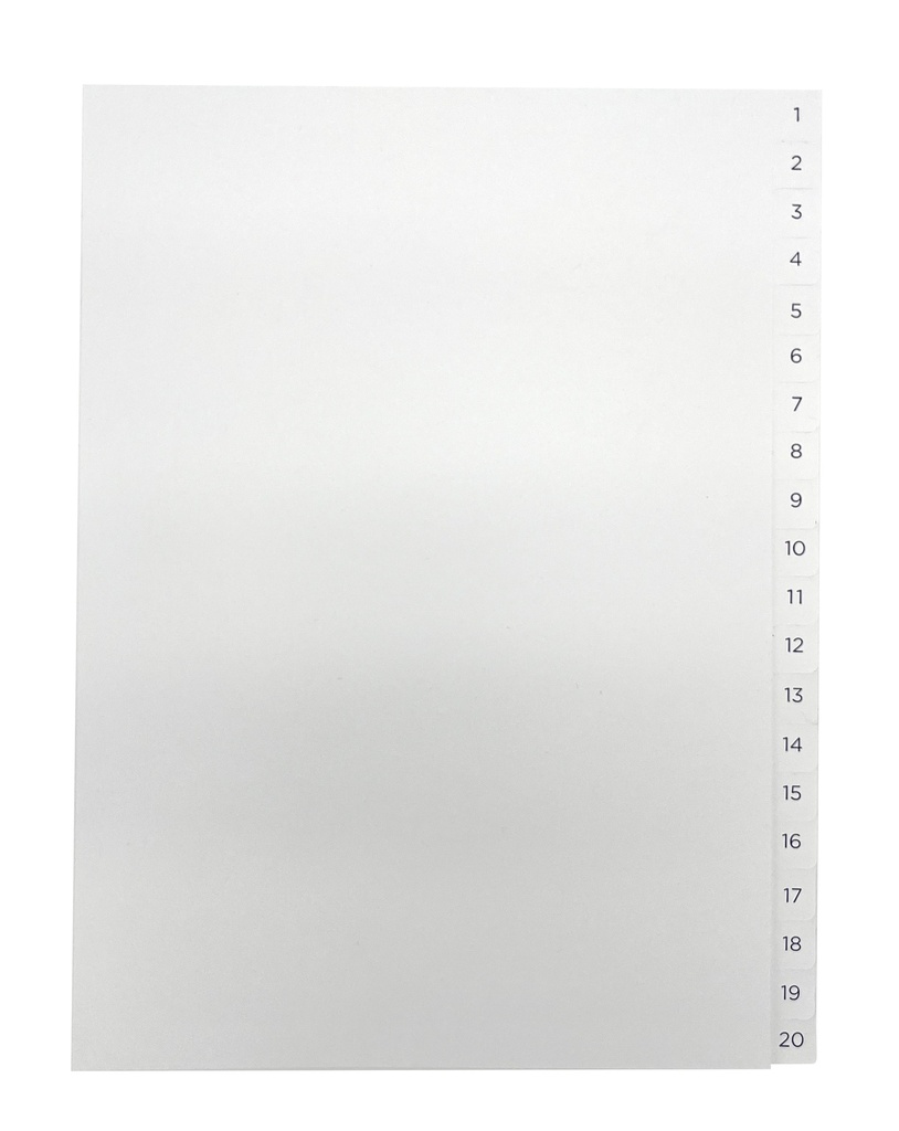 PÄRMREGISTER 1-20 A4 BLÅ/VIT 10ST/FP