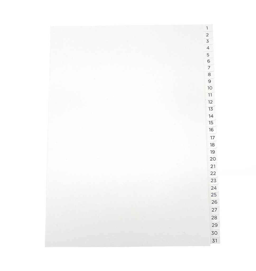Pärmregister 1-31 A4 blå/vit 10st/fp