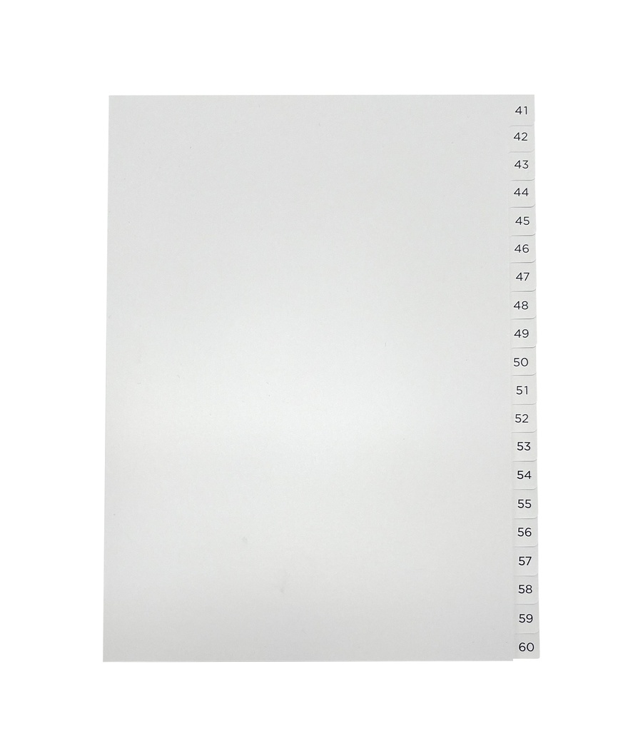 PÄRMREGISTER 41-60 A4 BLÅ/VIT 10ST/FP