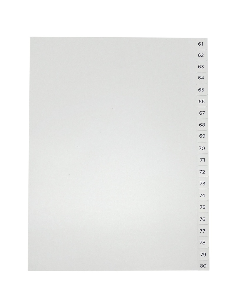 Pärmregister 61-80 A4 blå/vit 10st/fp