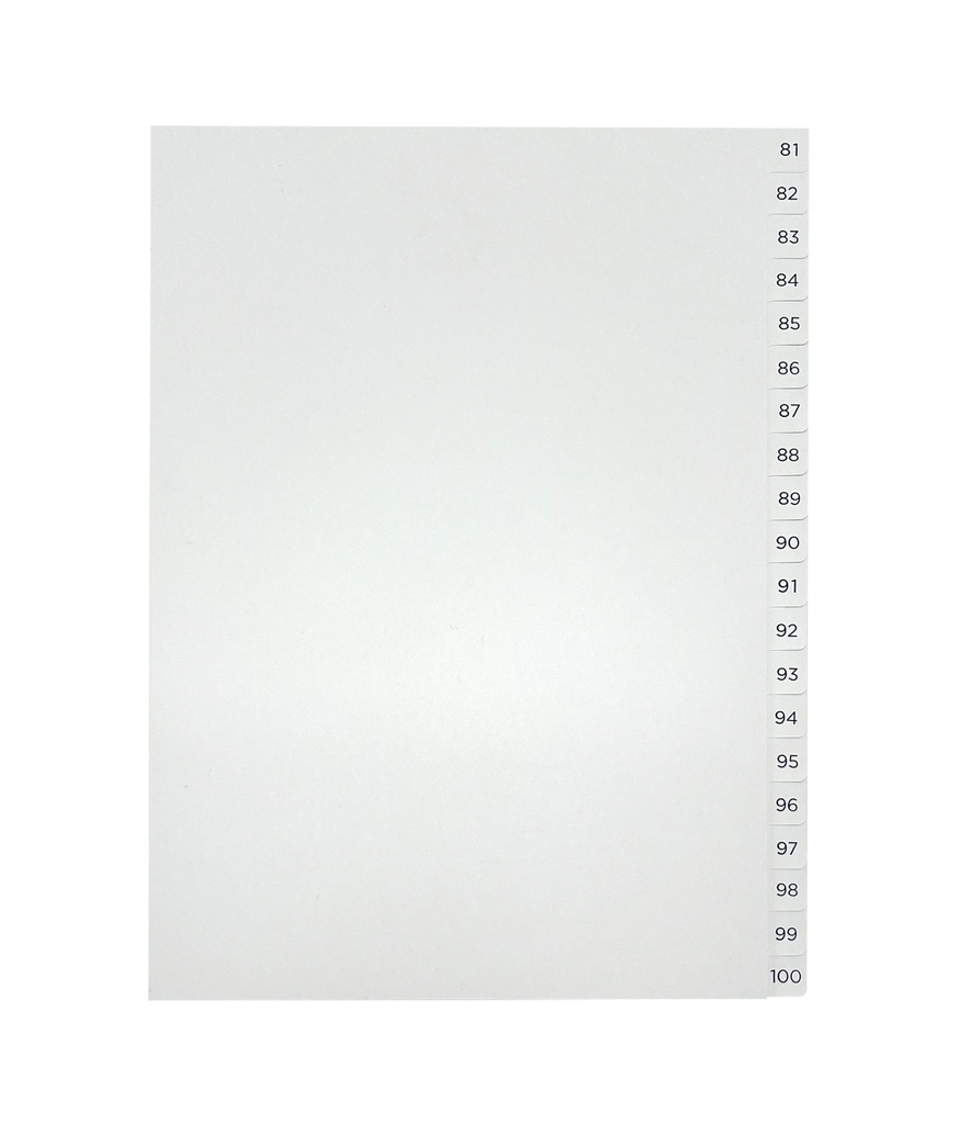 PÄRMREGISTER 81-100 A4 BLÅ/VIT 10ST/FP