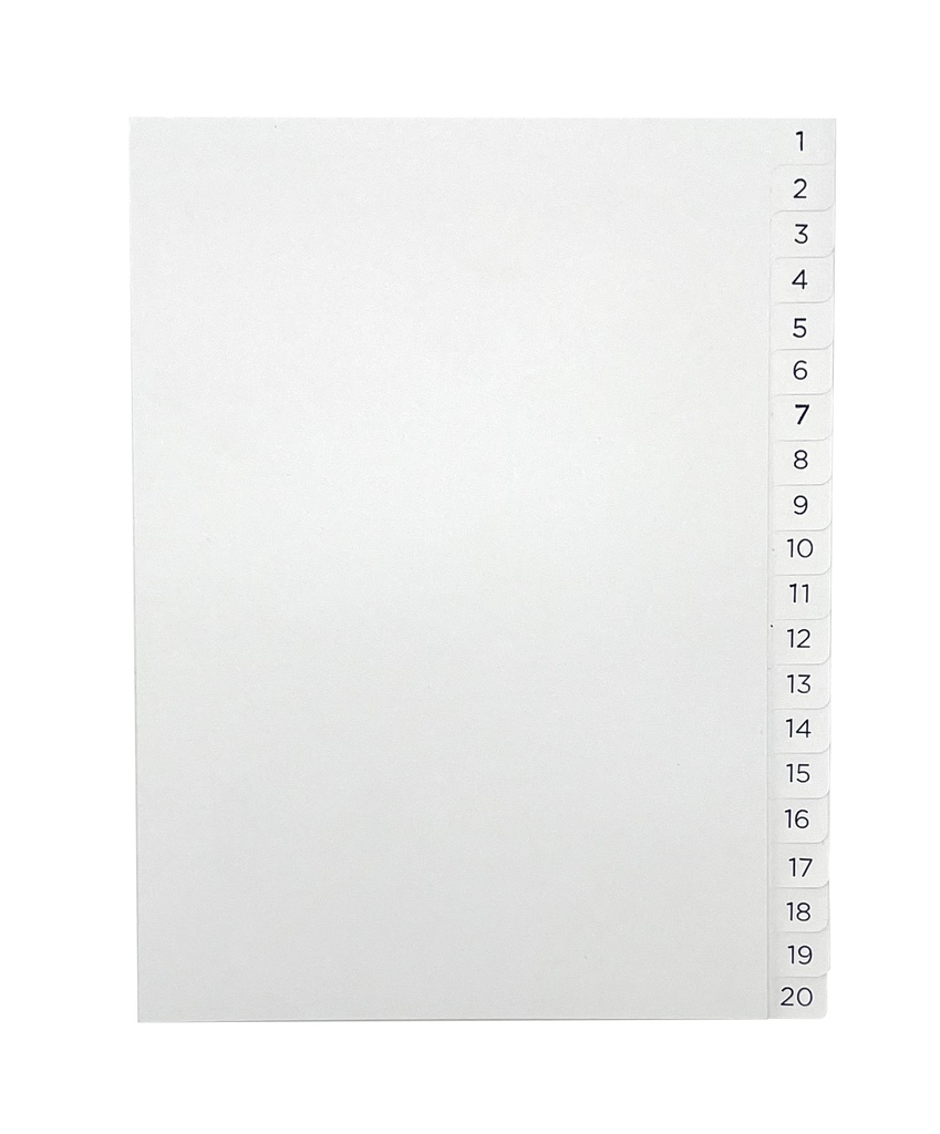 Pärmregister A5 1-20 blå/vit 10st/fp
