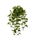 Konstväxt Gullranka 100 cm