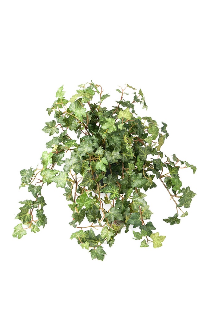 Konstväxt Murgröna 450