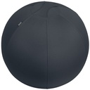 Sittboll Ergo med stopp 65cm