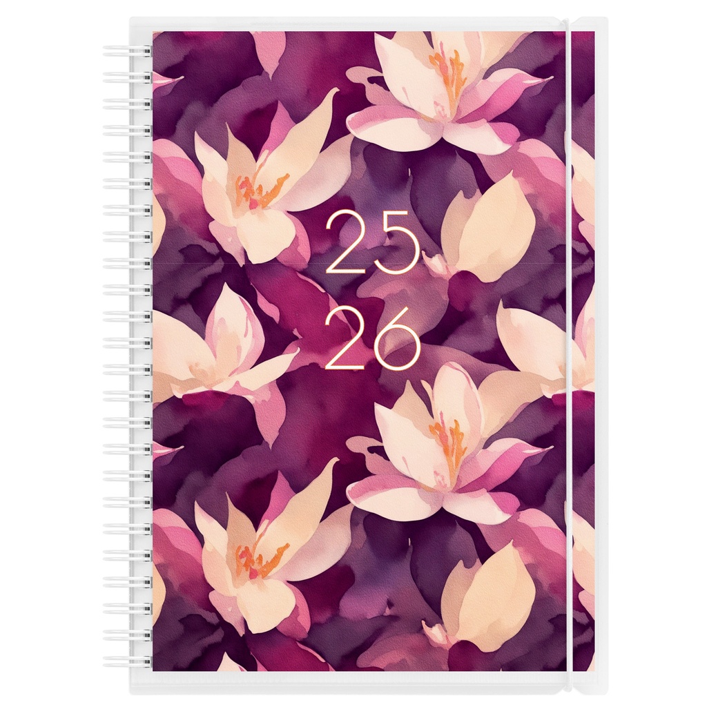 Study 4i1 A5 25/26