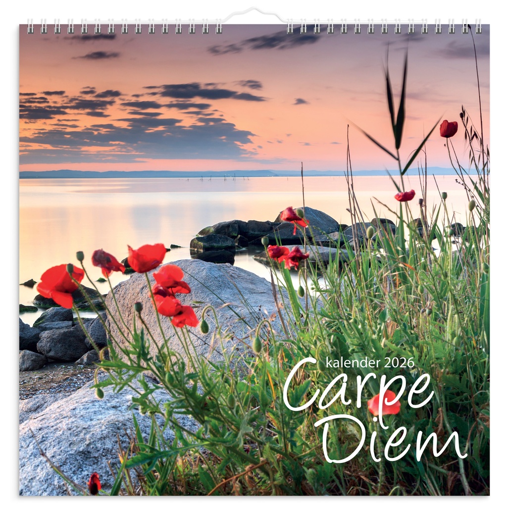 Väggkalender 2026 Carpe Diem