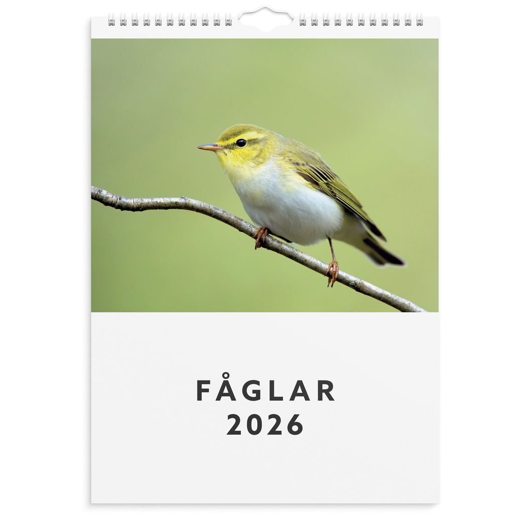 Väggkalender 2026 Fåglar