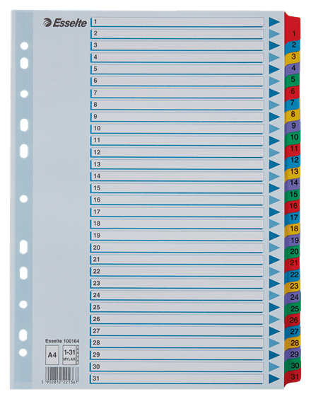 [2680034] Register Esselte Mylar A4 1-31