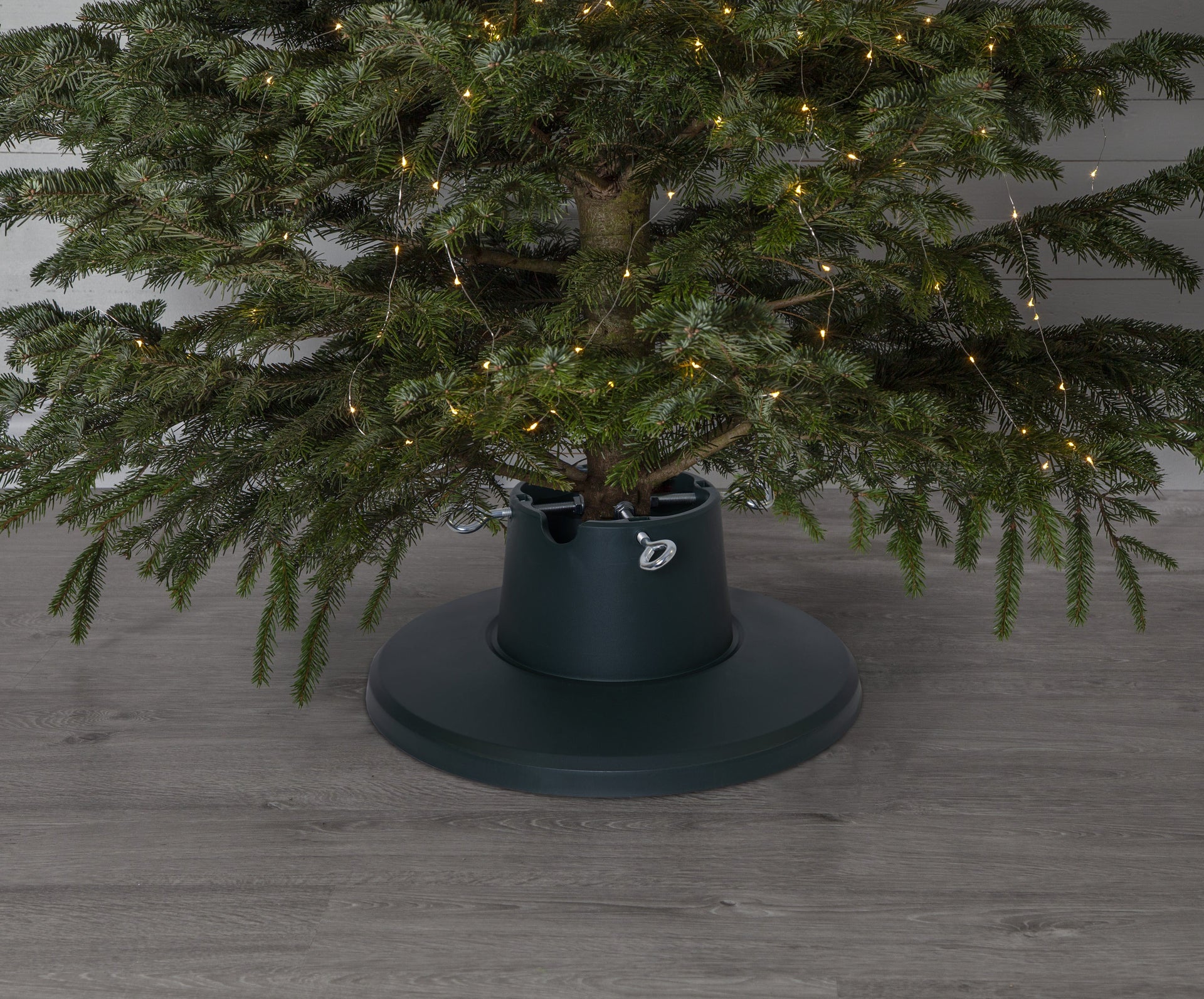 [8562407] Julgransfot Granig