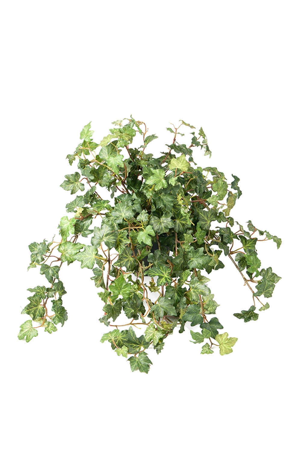 [8563466] Konstväxt Murgröna 45 cm
