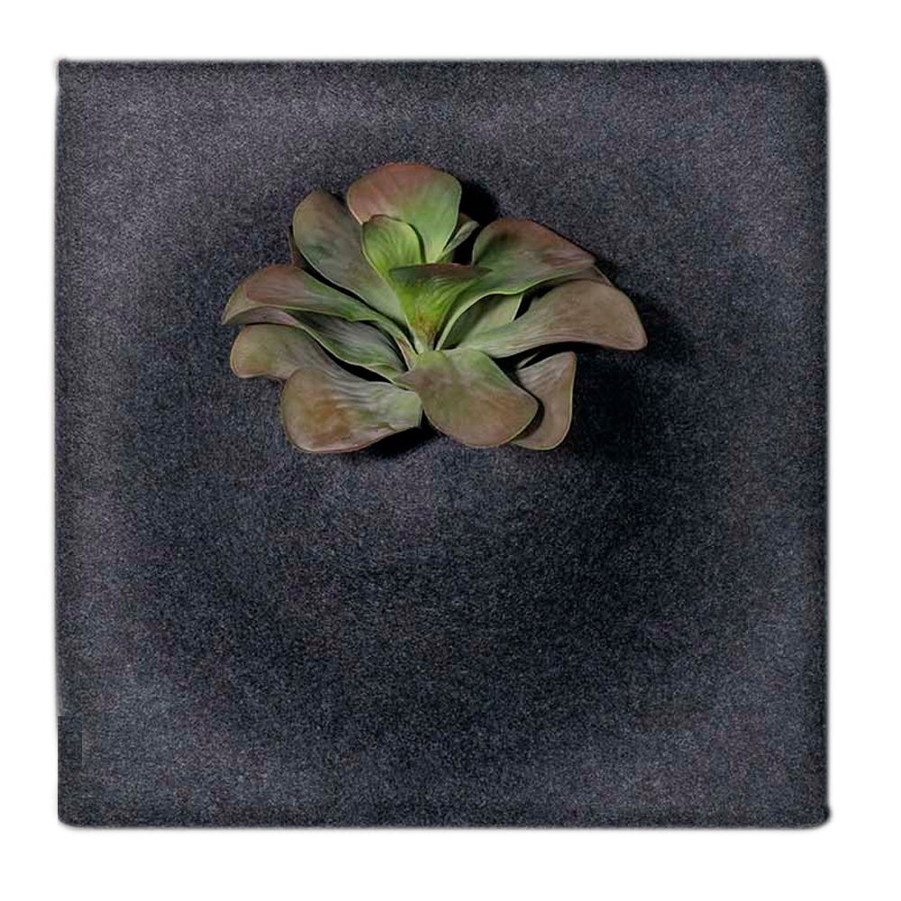[8563442] Ljudabsorbent PlantPanel 58x58x21 cm Slate