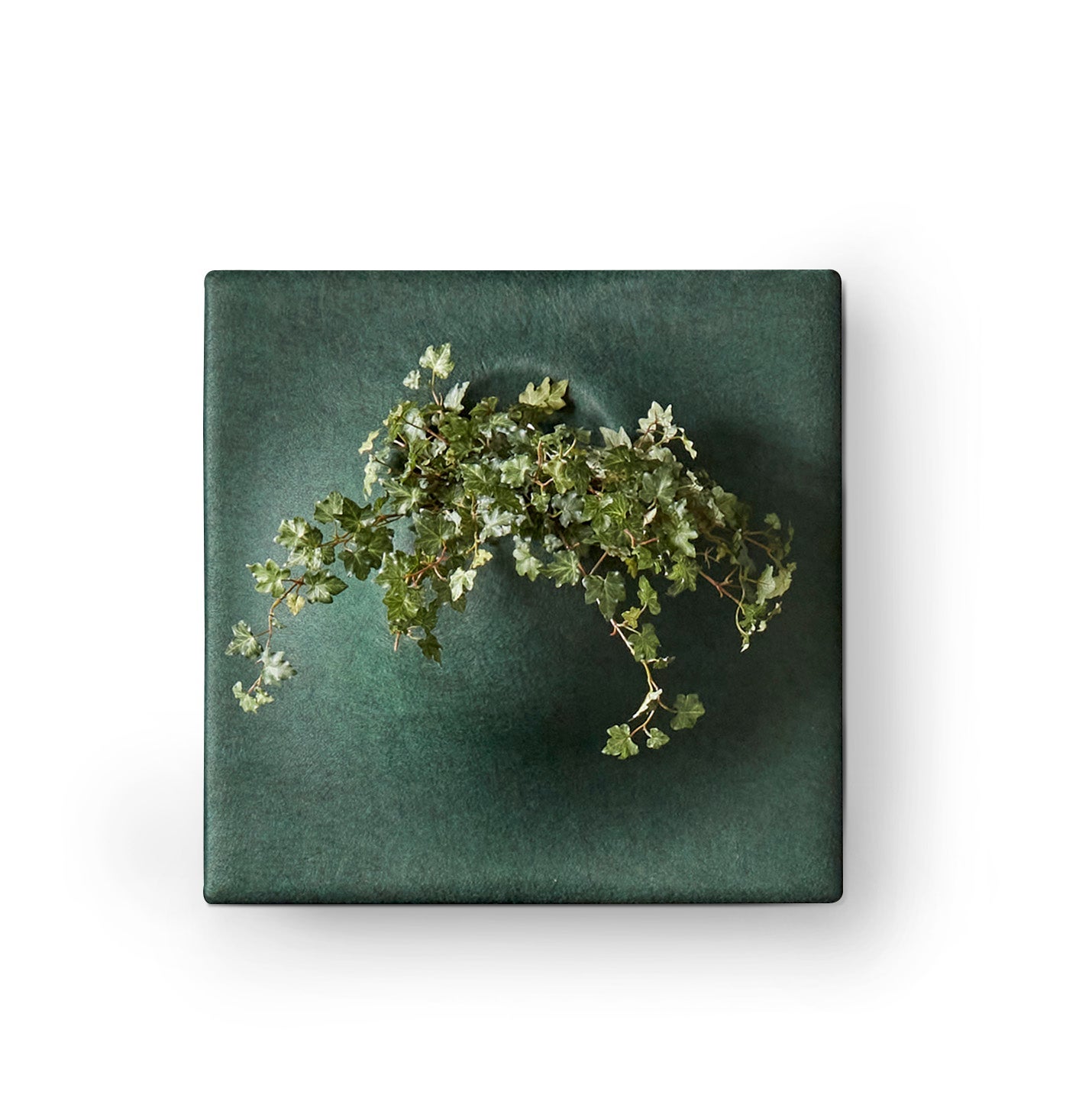 [8563443] Ljudabsorbent PlantPanel 58x58x21 cm Moss