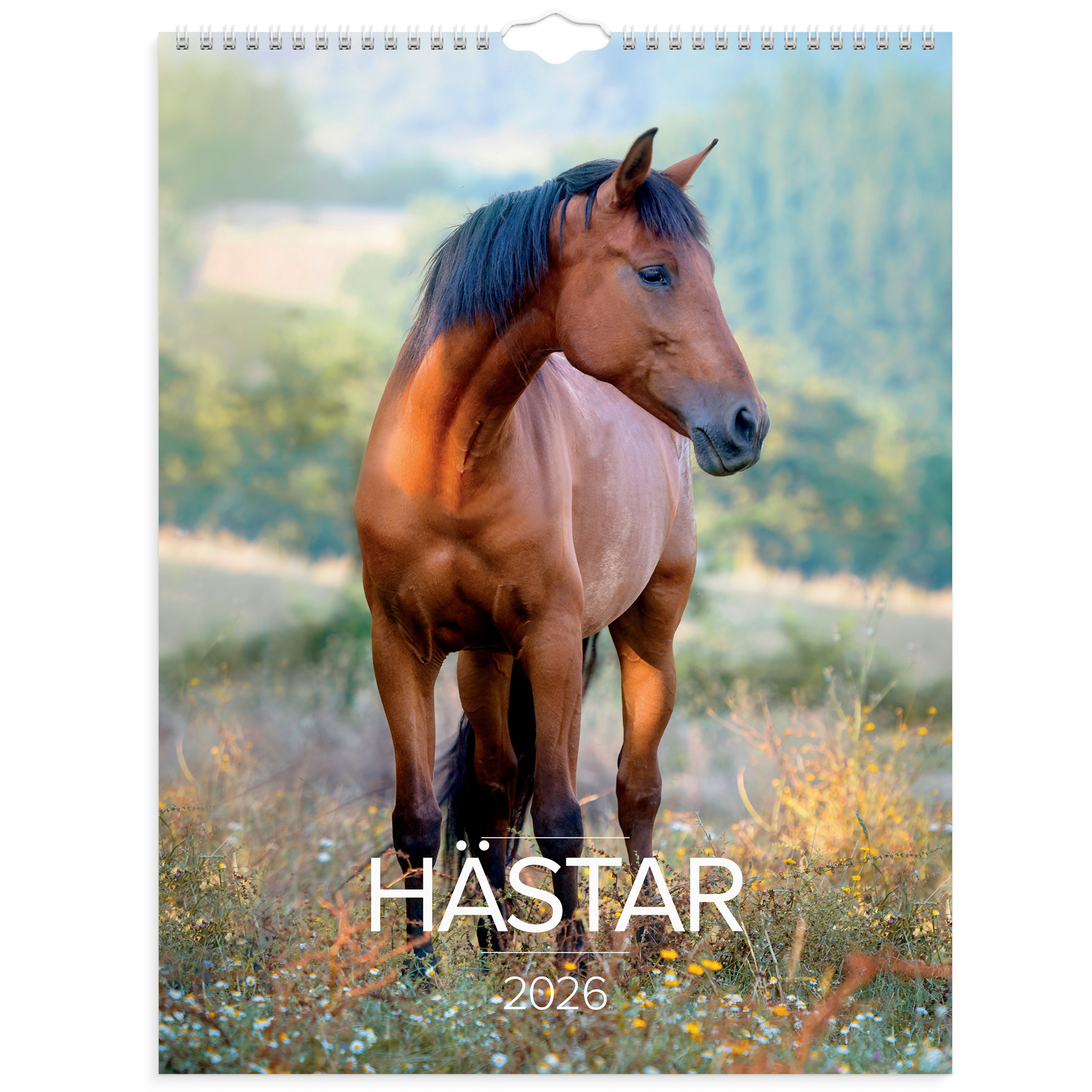 [61177626] Stora Hästkalendern 2026 vägg