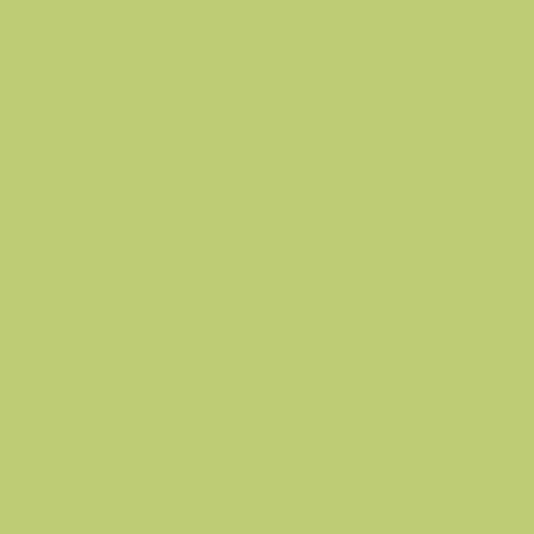 [8565734] Kopieringspapper Image A4 120 g Dark Green 250-pack